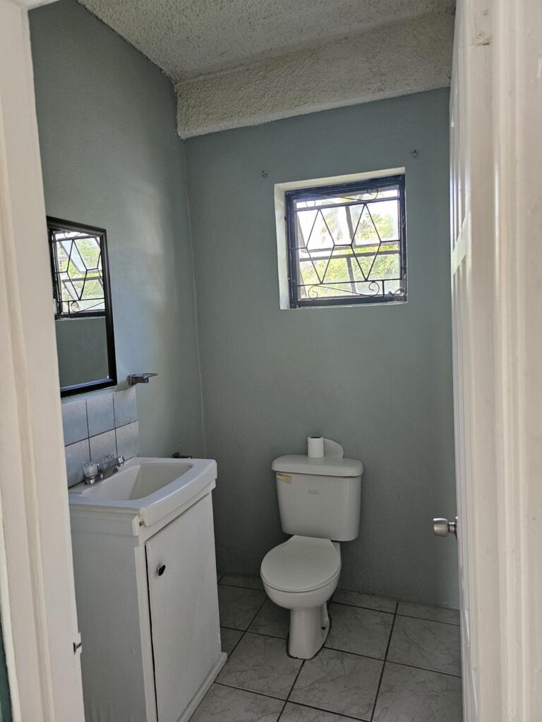Downstairs toilet/facebasin